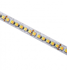 DC24V 5050 2IN1 LED strip with 120 LEDs per meter