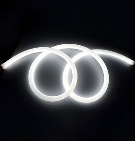 Round LED Neon Flex R22